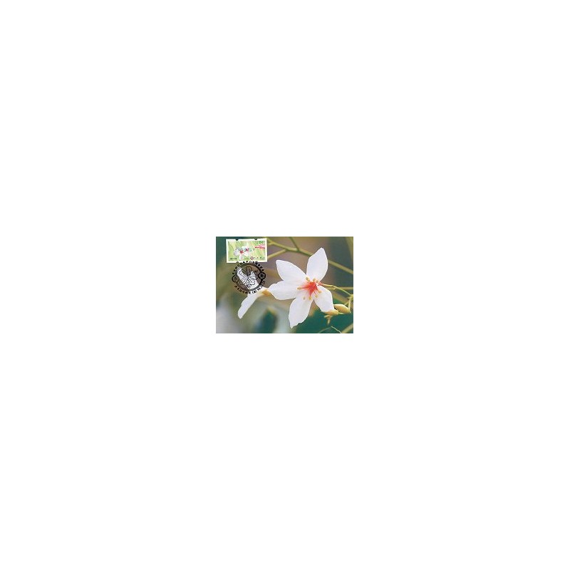 TAIWÁN (2009). Flores Tung (3)- verde. Tarjeta máxima (104) - A