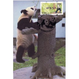 TAIWÁN (2010). Osos panda - violeta. Tarjeta máxima (108) *