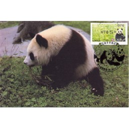 TAIWÁN (2010). Osos panda - negro. Tarjeta máxima (076) *