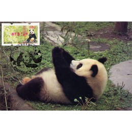 TAIWÁN (2010). Osos panda - rojo. Tarjeta máxima (101) *
