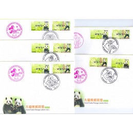 TAIWÁN (2010). Osos panda - violeta. Sobres (Flower Stamps Expo)