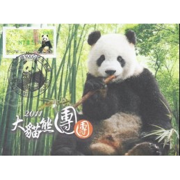 TAIWÁN (2010). Osos panda - verde. Tarjeta máxima (083) SOGO