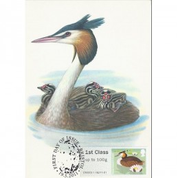 R. UNIDO (2011).. Pájaros (3) - 002011 5. Tarjeta máxima