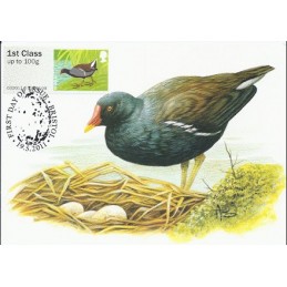 R. UNIDO (2011).. Pájaros (3) - 002011 5. Tarjeta máxima