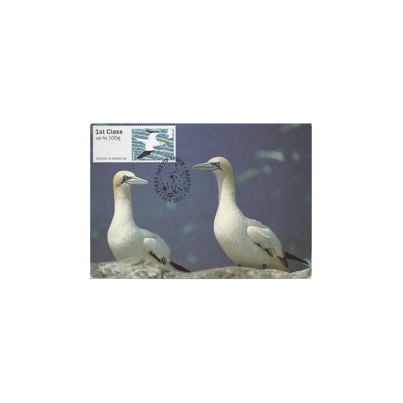 R. UNIDO (2011).. Pájaros (4) - 002011 9. Tarjeta máxima *