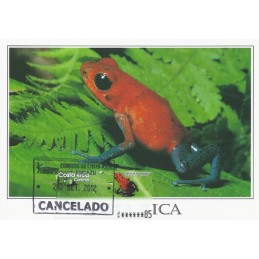 COSTA RICA (2005). Rana Roja Venenosa. Tarjeta máxima