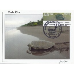 COSTA RICA (2012). Tortuga Lora - Datamax. Tarjeta máxima