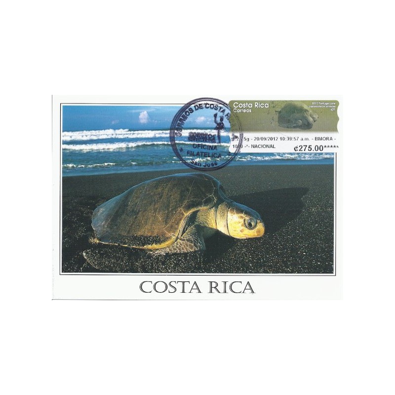 COSTA RICA (2012). Tortuga Lora - Datamax. Tarjeta máxima