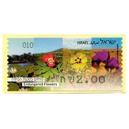 ISRAEL (2013). Flores en...