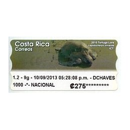 COSTA RICA (2013). Tortuga...
