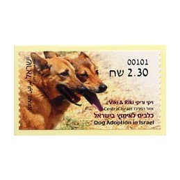 ISRAEL (2016). Dog Adoption...