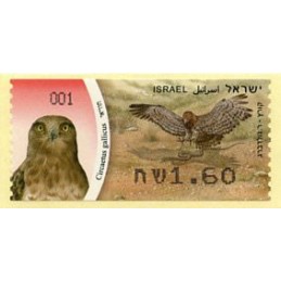 ISRAEL (2009). Águila...
