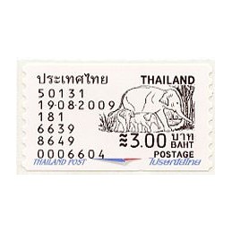 TAILANDIA (2009). Elefante...