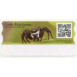 COSTA RICA (2020).  Araña...