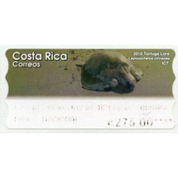 COSTA RICA (2012). Tortuga...