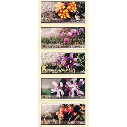 CHIPRE (2002) Flora salvaje. Etiquetas nuevas en blanco
