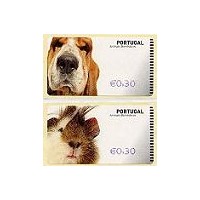 Animales domésticos - NewVision AZUL - Cobaya y perro