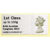 2013. Hytech - Special imprint '84th Scottish Congress 2013'