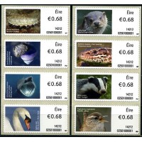 2014. Animales y vida marina de Irlanda (5)
