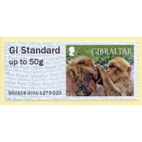 2016 - 2017. Post & Go - Gibraltar monkeys