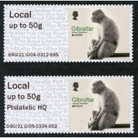 2021. EUROPA Barbary Macaques (Macaco de Berbería - Macaca sylvanus)