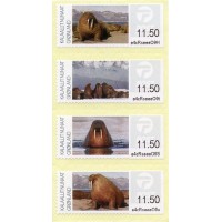 2022. Greenlandic walruses