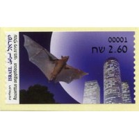 2022. 09. Animals in urban area (9) - Rousettus aegyptiacus (Egyptian fruit bat)