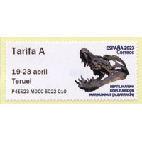 2023.  5. Reptil marino Liopleurodon. Mar Nummus (Albarracín)