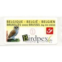 2010. Birdpex Antwerp Expo - Bruxelles 1000 Brussel (Lechuza)