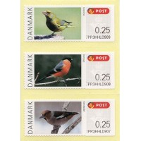 2012. Pájaros de Dinamarca (2)